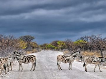 How Africa's online travel ecosystem is developing despite huge hurdles